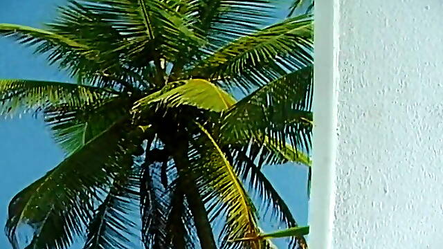 Special BBW darling gives you immaculate pleasure