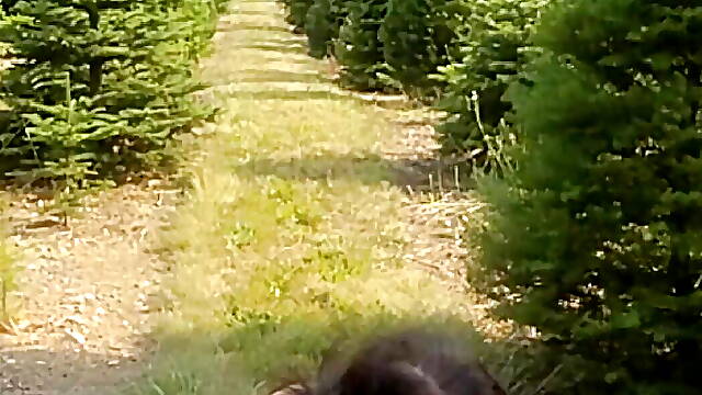 Dancing Among the Trees