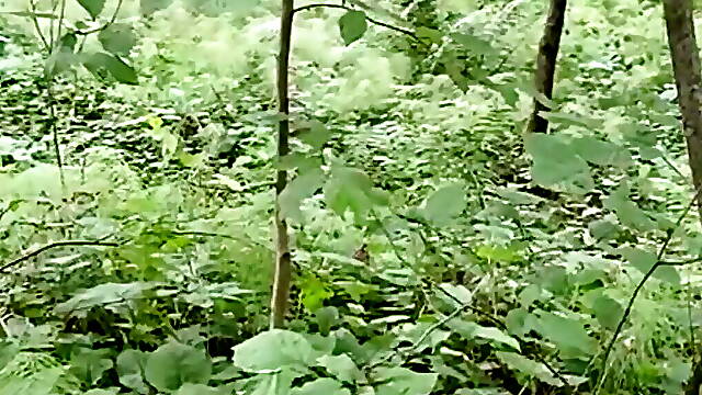 Milf Gave Her Big Ass In The Woods, Hot Sex