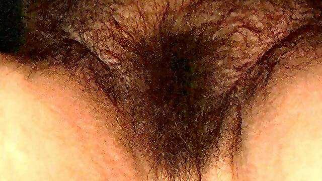 Big hairy mega pussy
