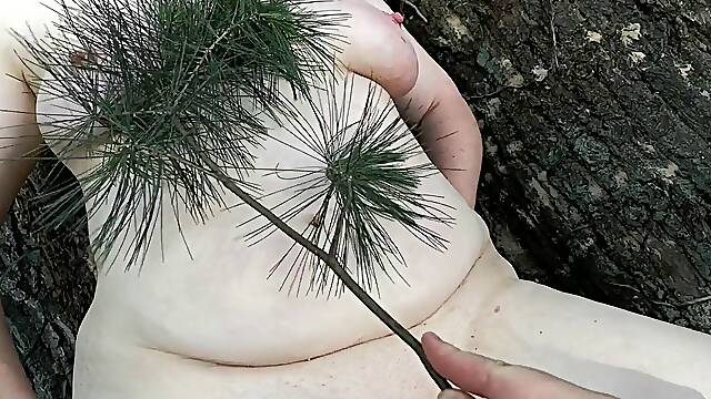 Tit Training and Whipping in the Woods