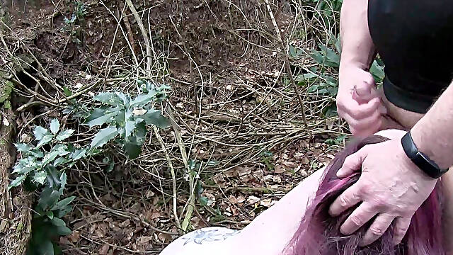 Bambi in the Woods