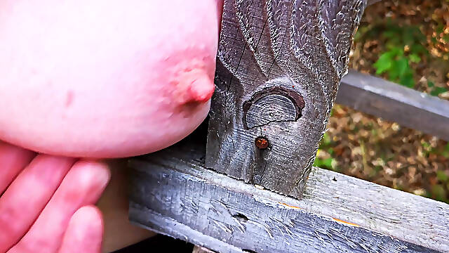 Hard Tit Slapping on the Ladder in the Woods